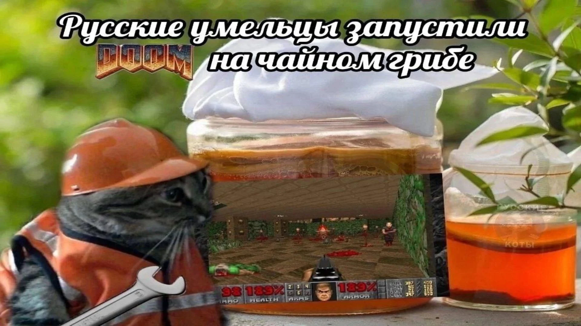 Doom мем