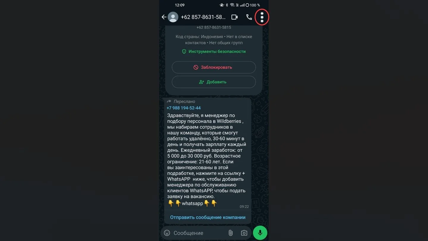Источник: Respawn / WhatsApp