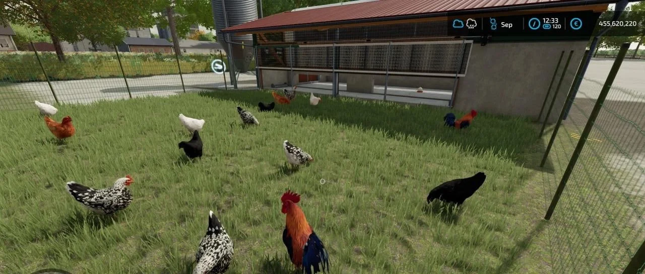 Курятник в Farming Simulator 2022