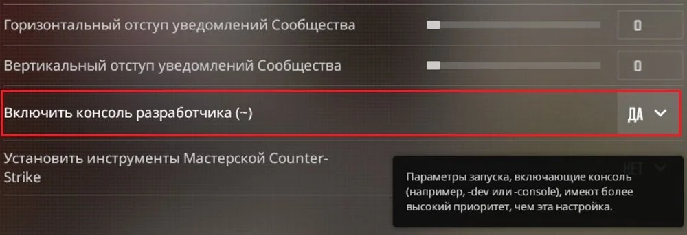 Источник: steamcommunity.com / Активация консоли в настройках CS2