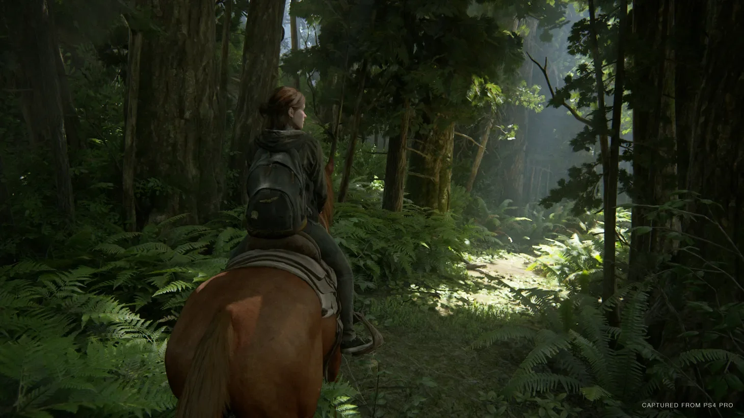 The Last of Us 2
