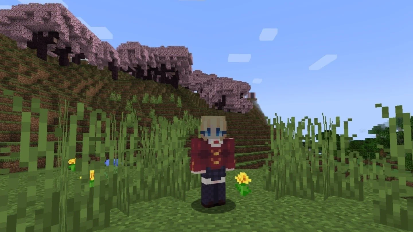 Трава в Minecraft: что это за блок и зачем он нужен