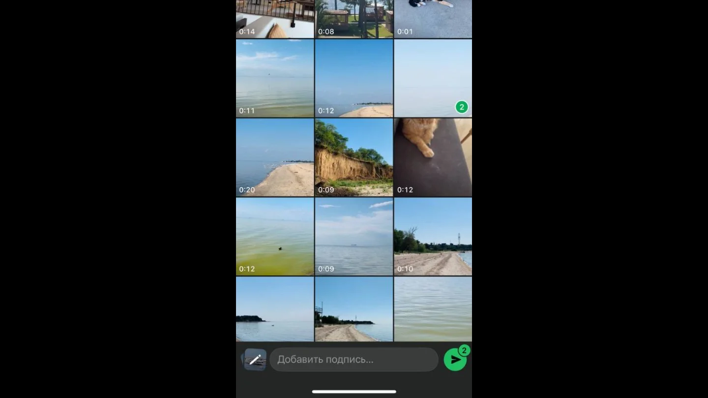 Источник: Respawn / Настройки WhatsApp*