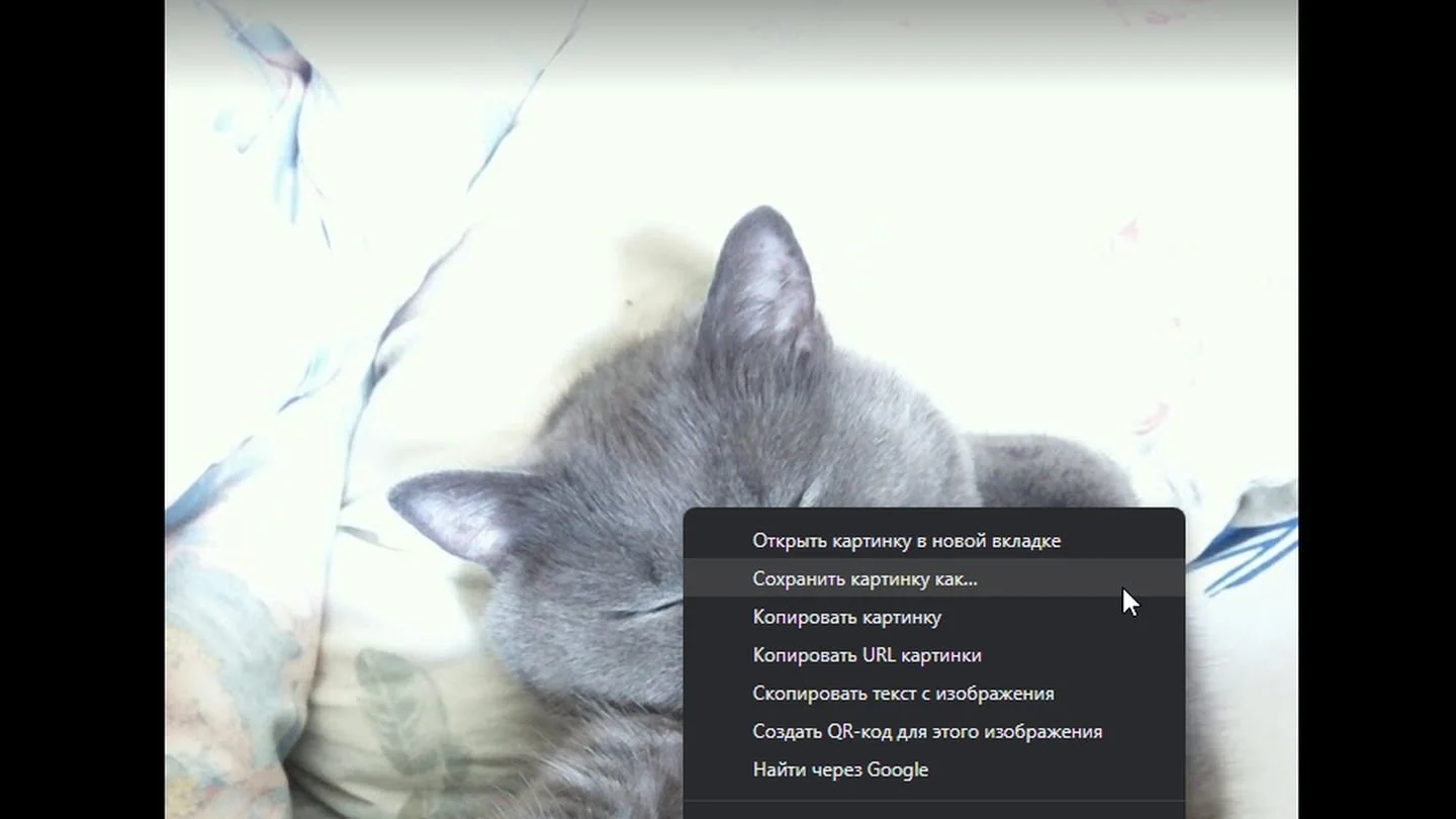 Источник: Respawn / Google Photos
