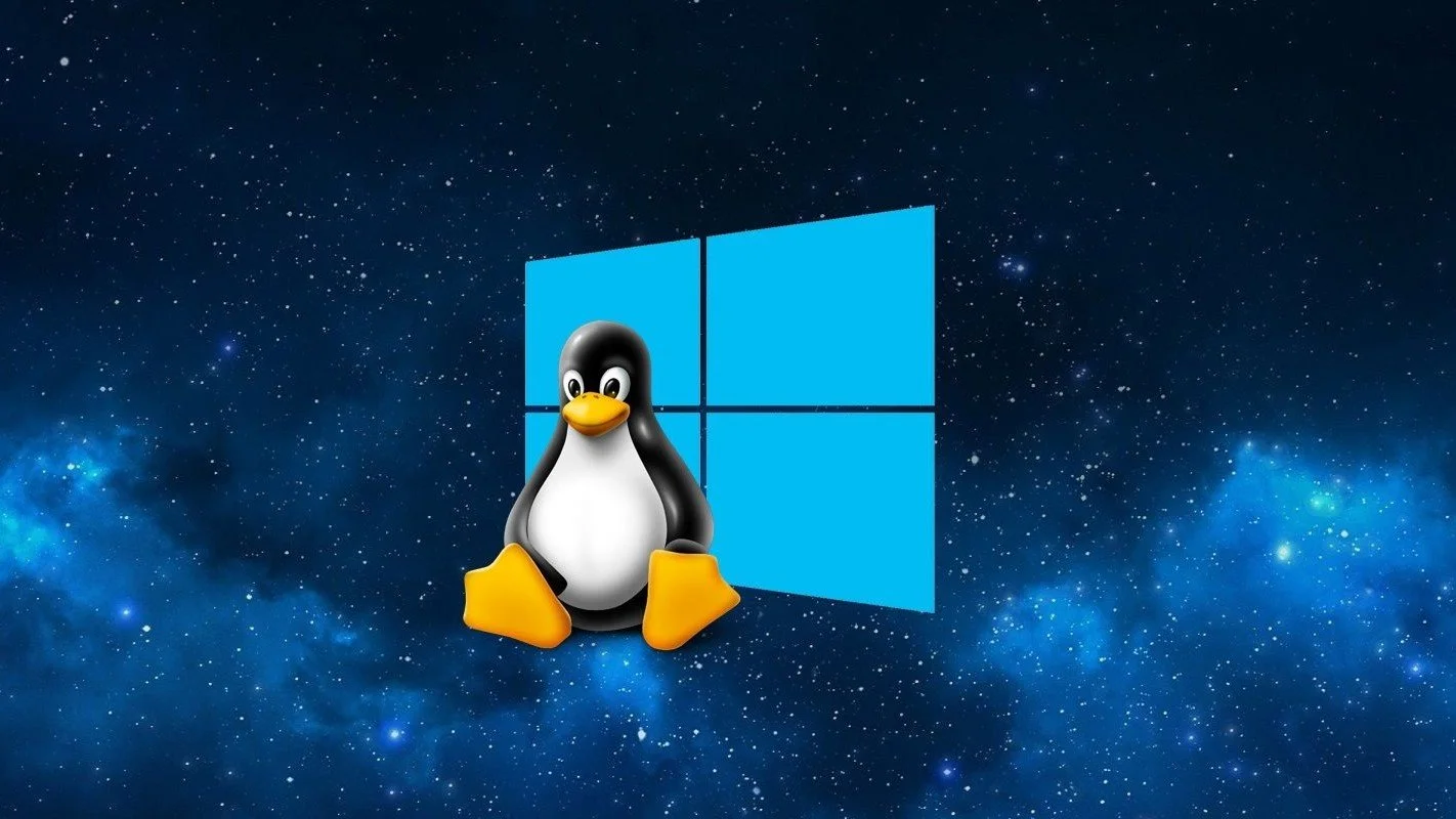 Windows или Linux — что лучше и чем отличаются