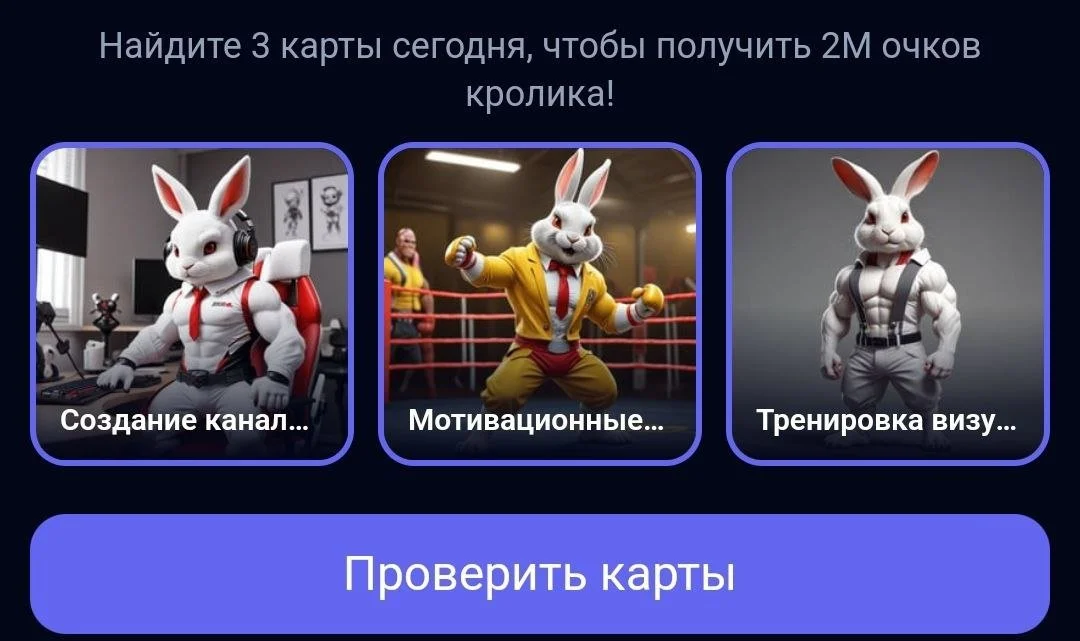 Комбо-карты Rocky Rabbit на 22-23 августа