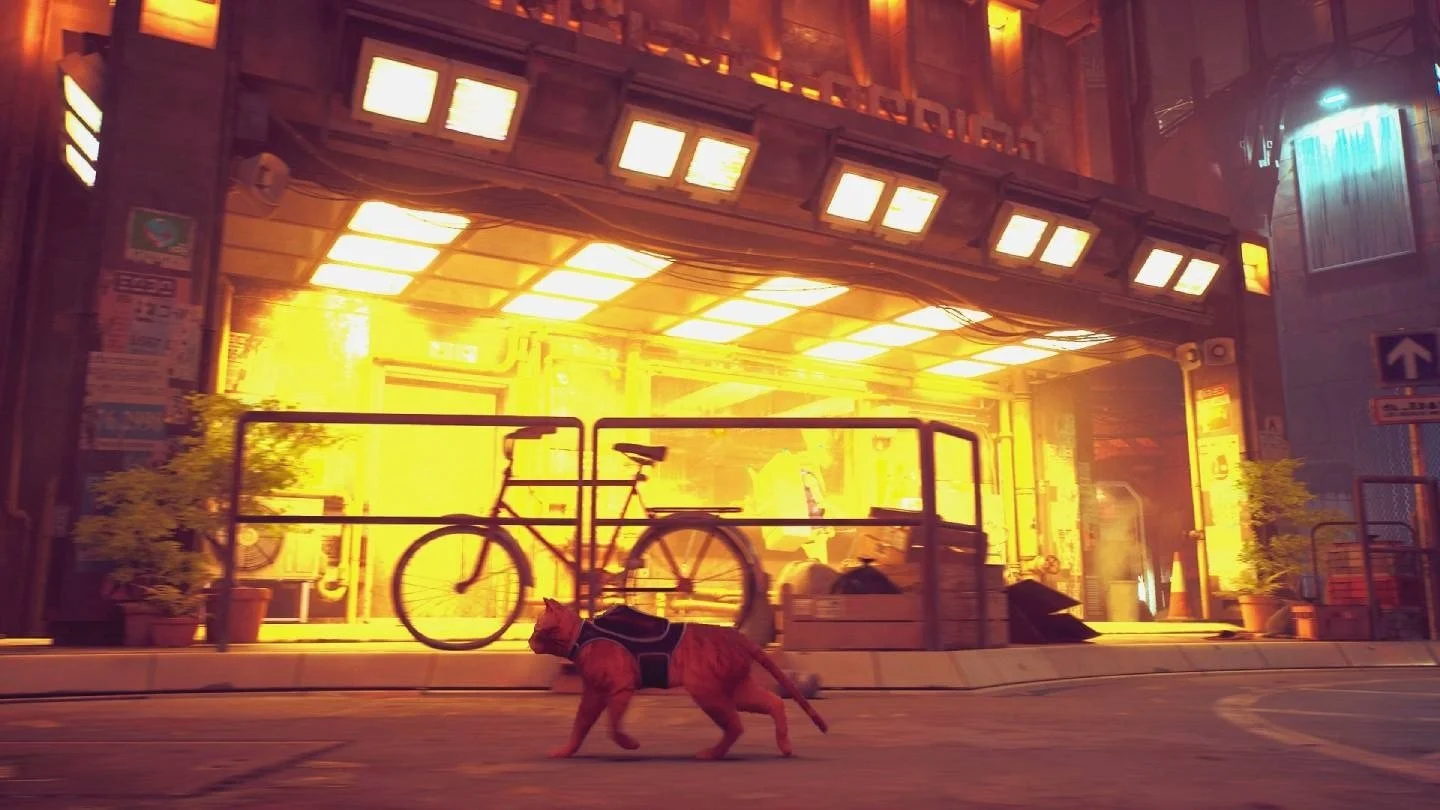 Игра Stray про рыжего кота получила первые оценки: «Это моя игра 2022 года»