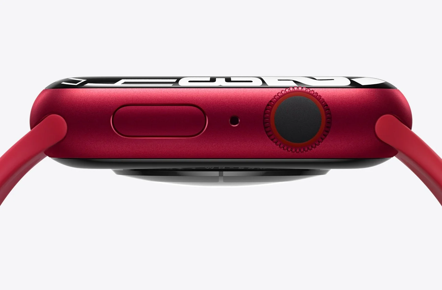 Apple Watch / Источник: Apple