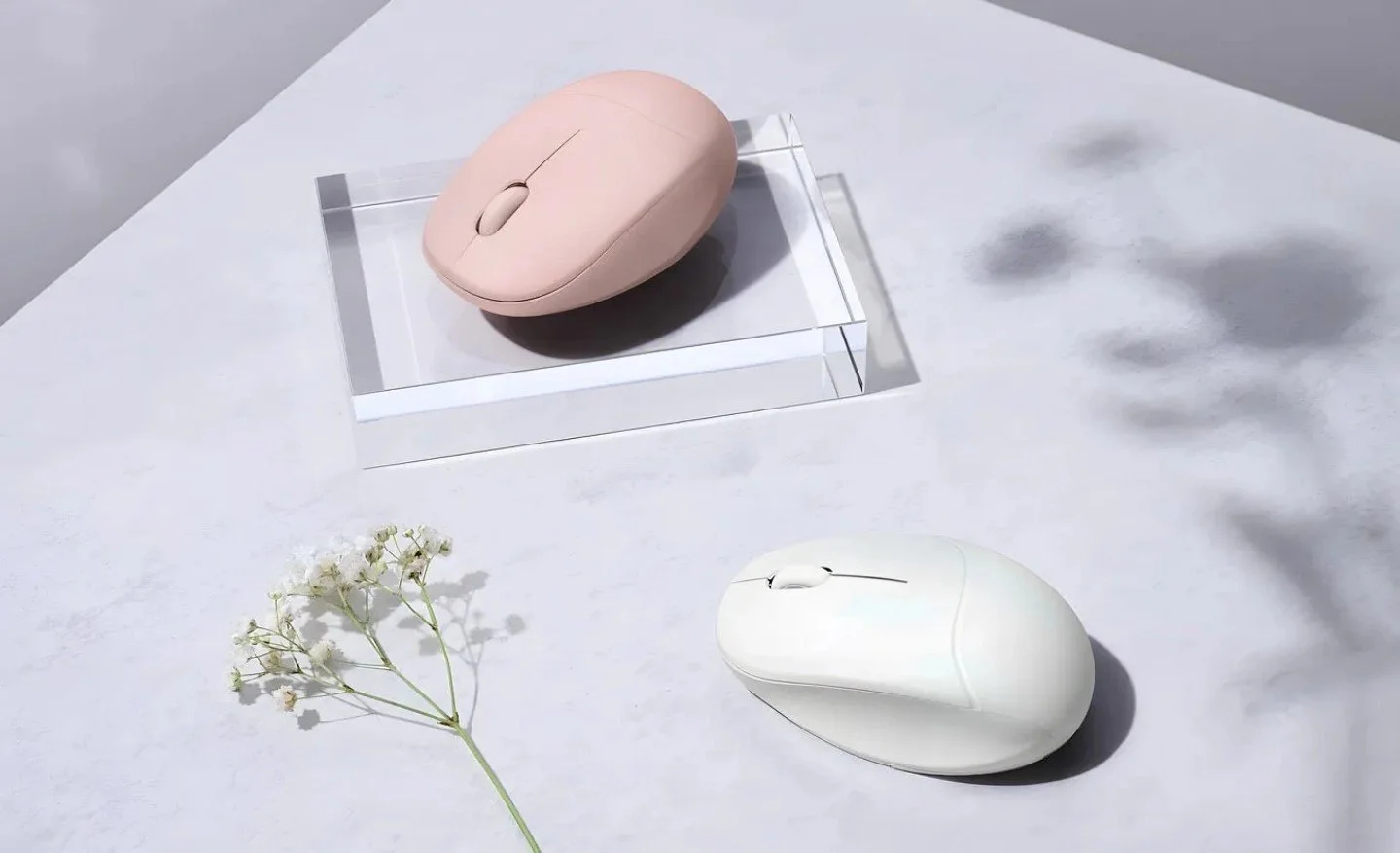 Источник: ASUS