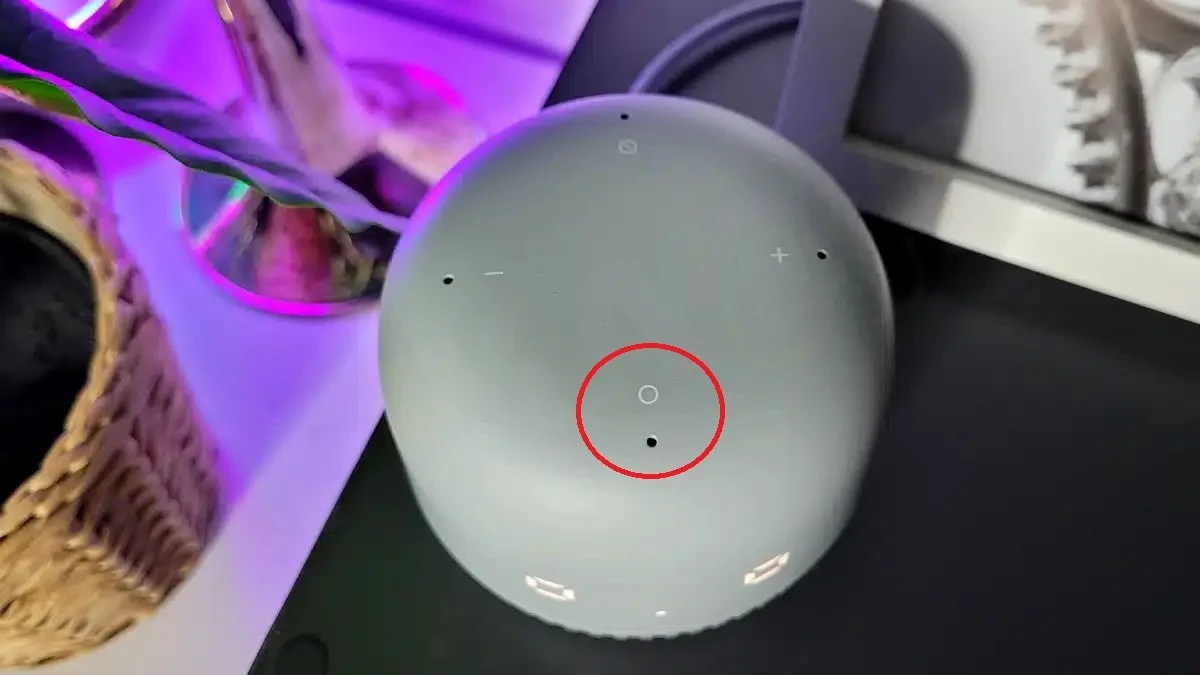 Источник: Wifika / Включение Bluetooth на колонке