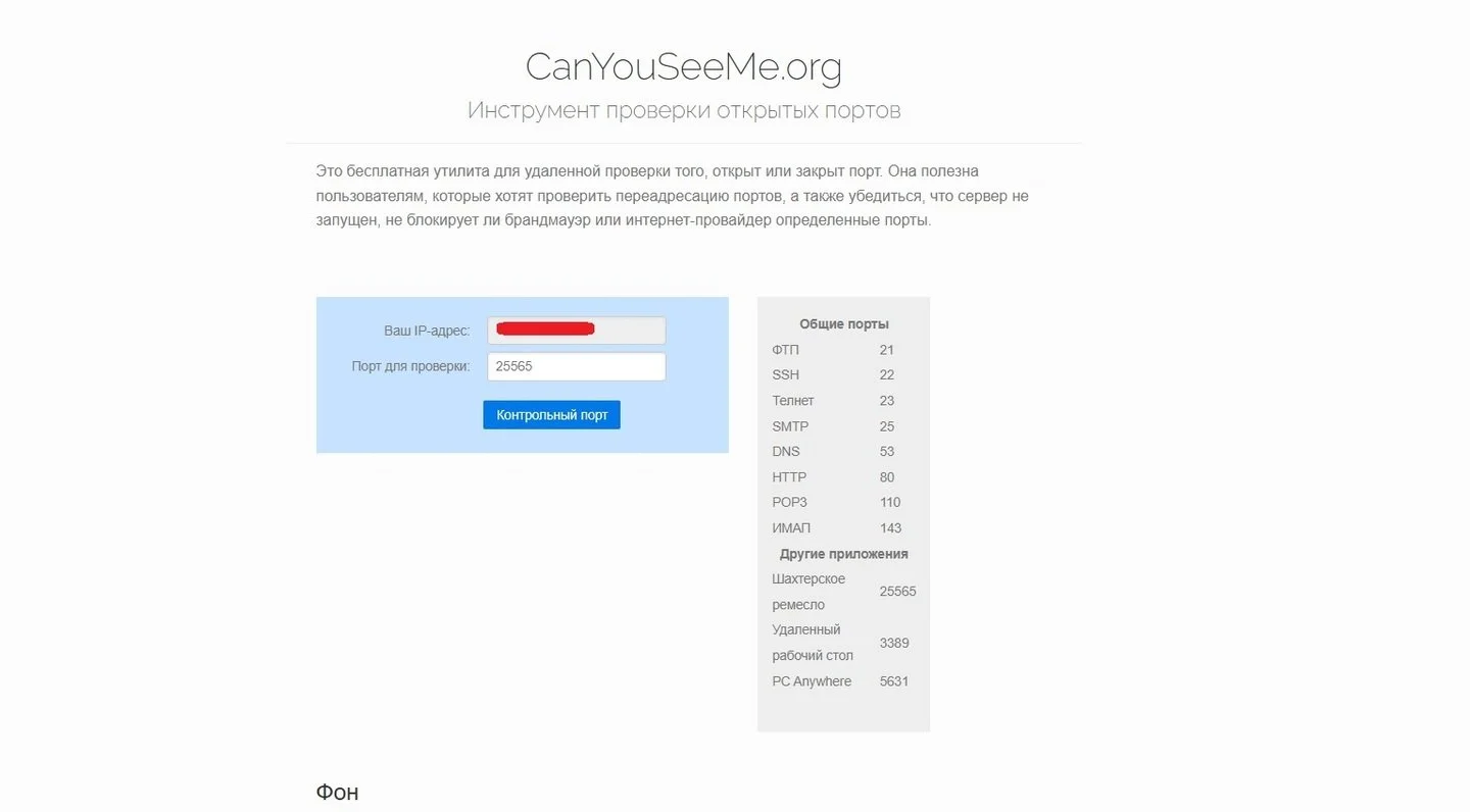Источник: скриншот respawn.media / Ресурс canyouseeme.org