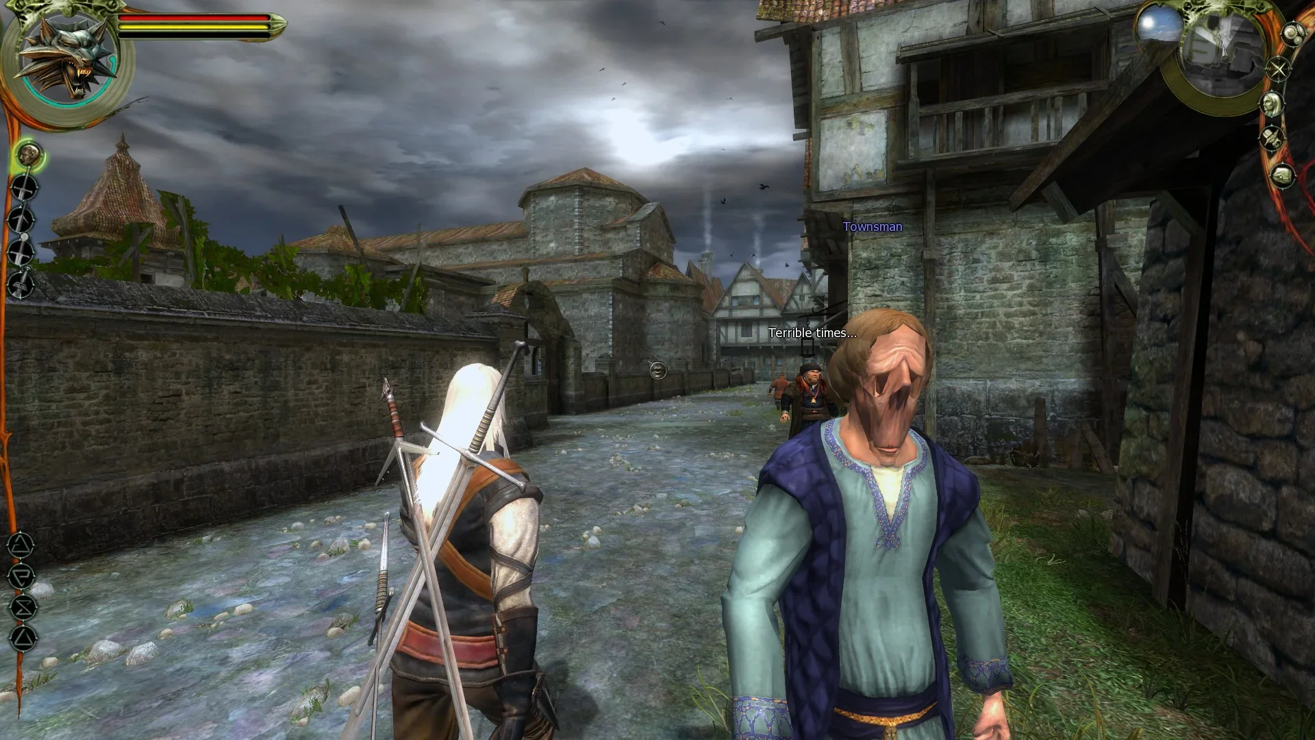 The Witcher