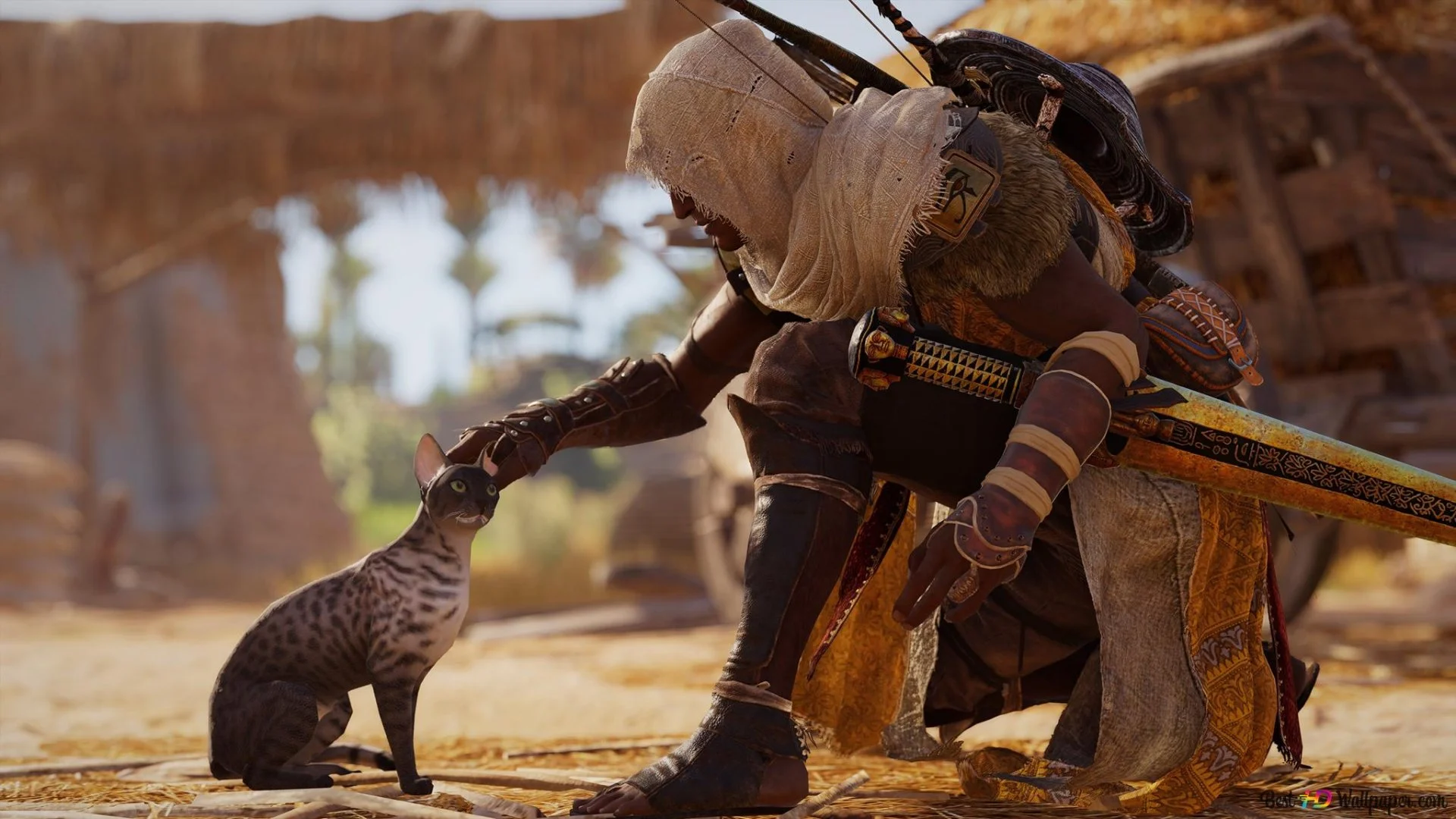 Источник: Assassin's Creed Origins / главный герой игры гладит кота