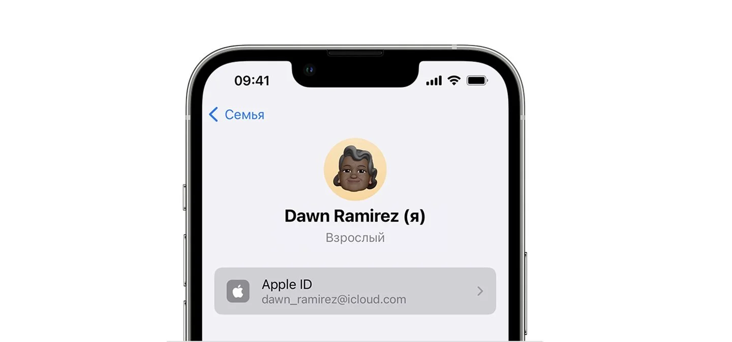 Источник: Apple Support / Apple ID