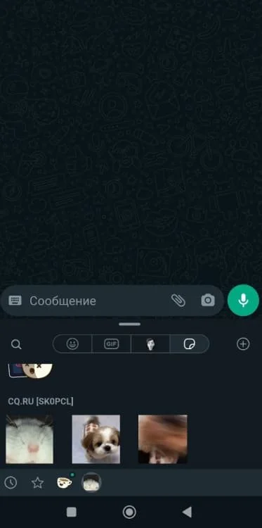 Миниатюра 3