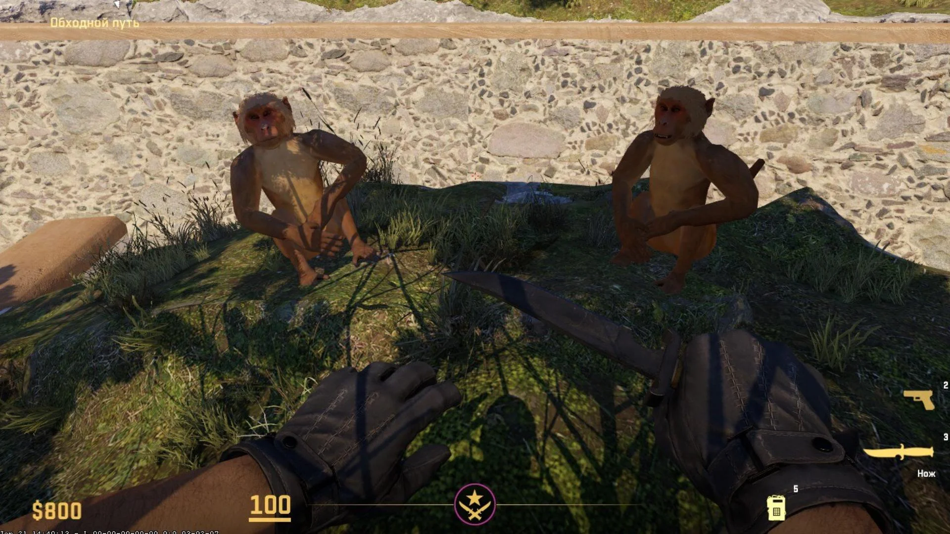Counter-Strike 2
