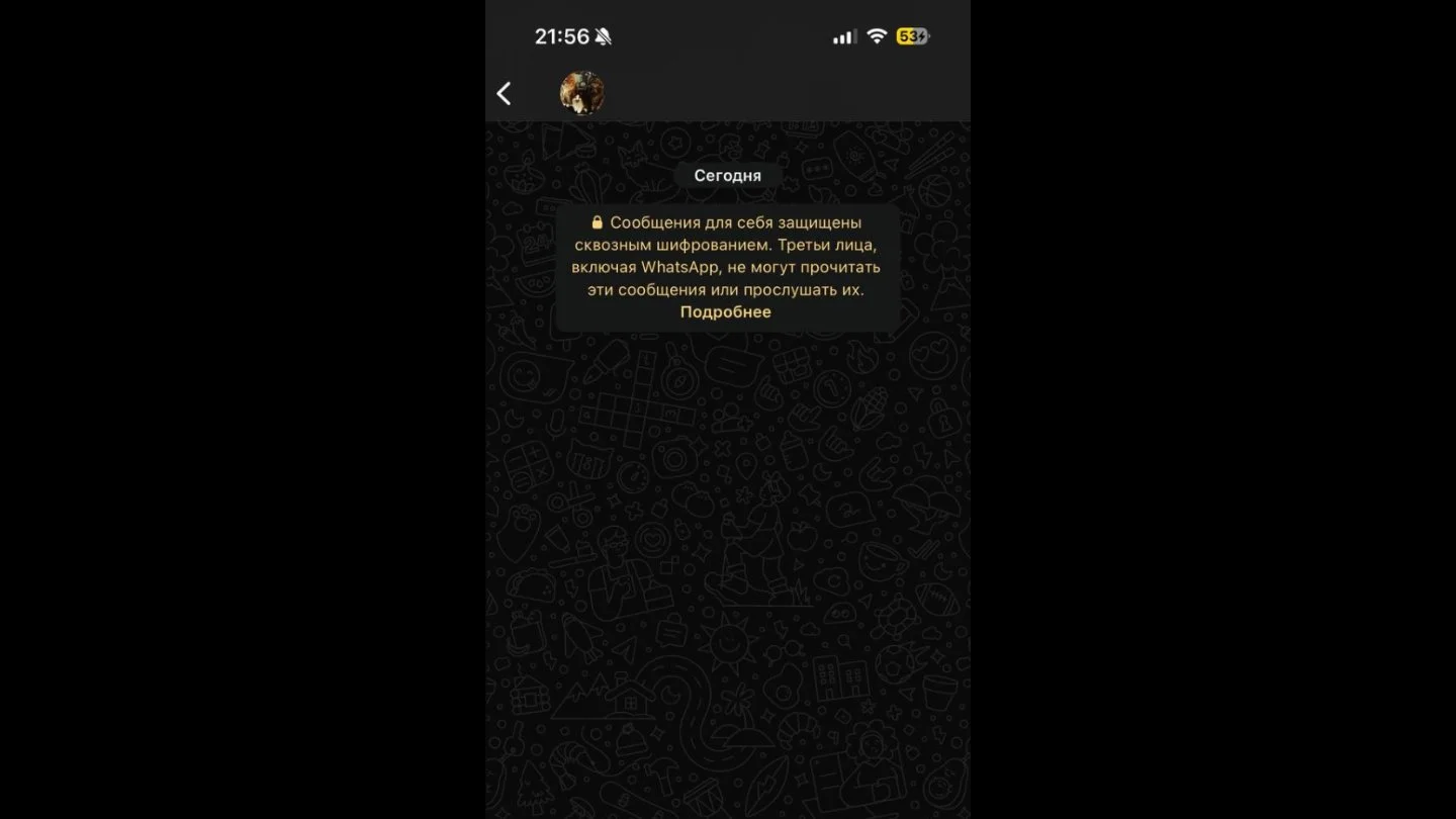 Источник: Respawn / Настройки WhatsApp*