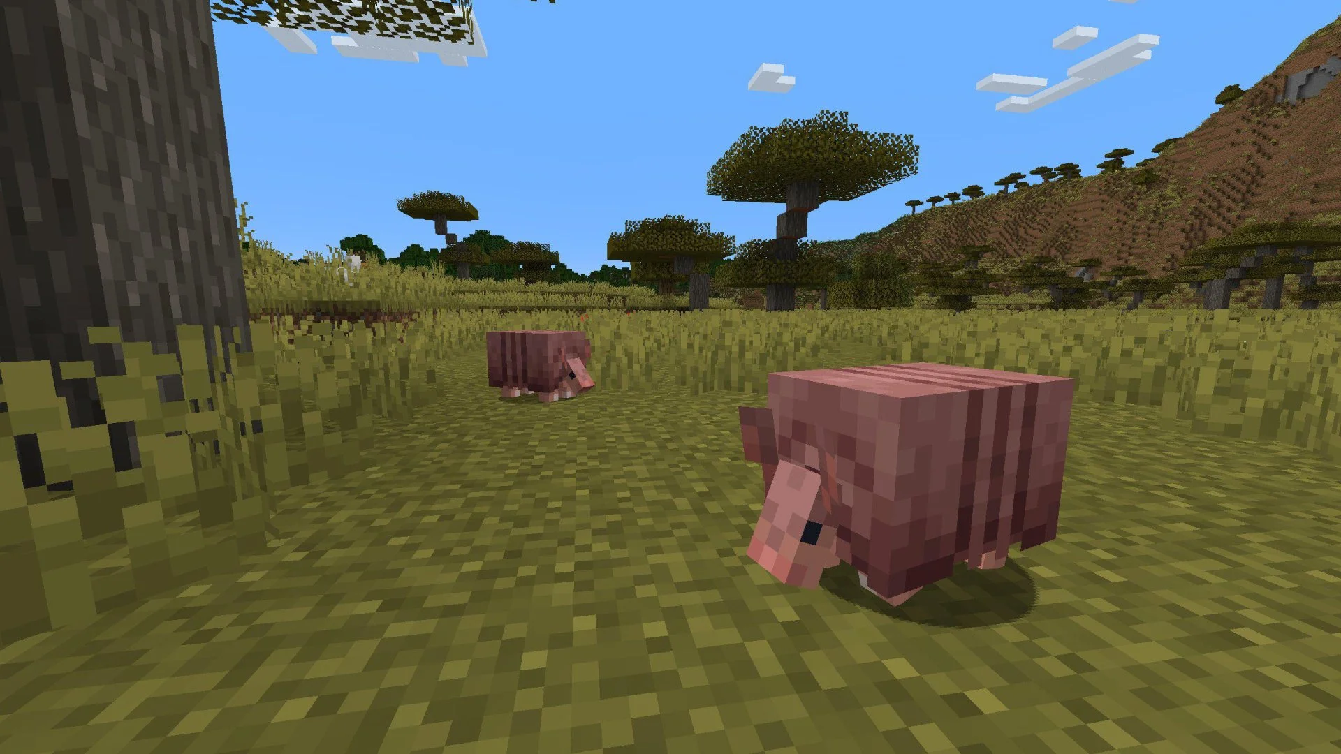 Броненосец в Minecraft — гайд на моба