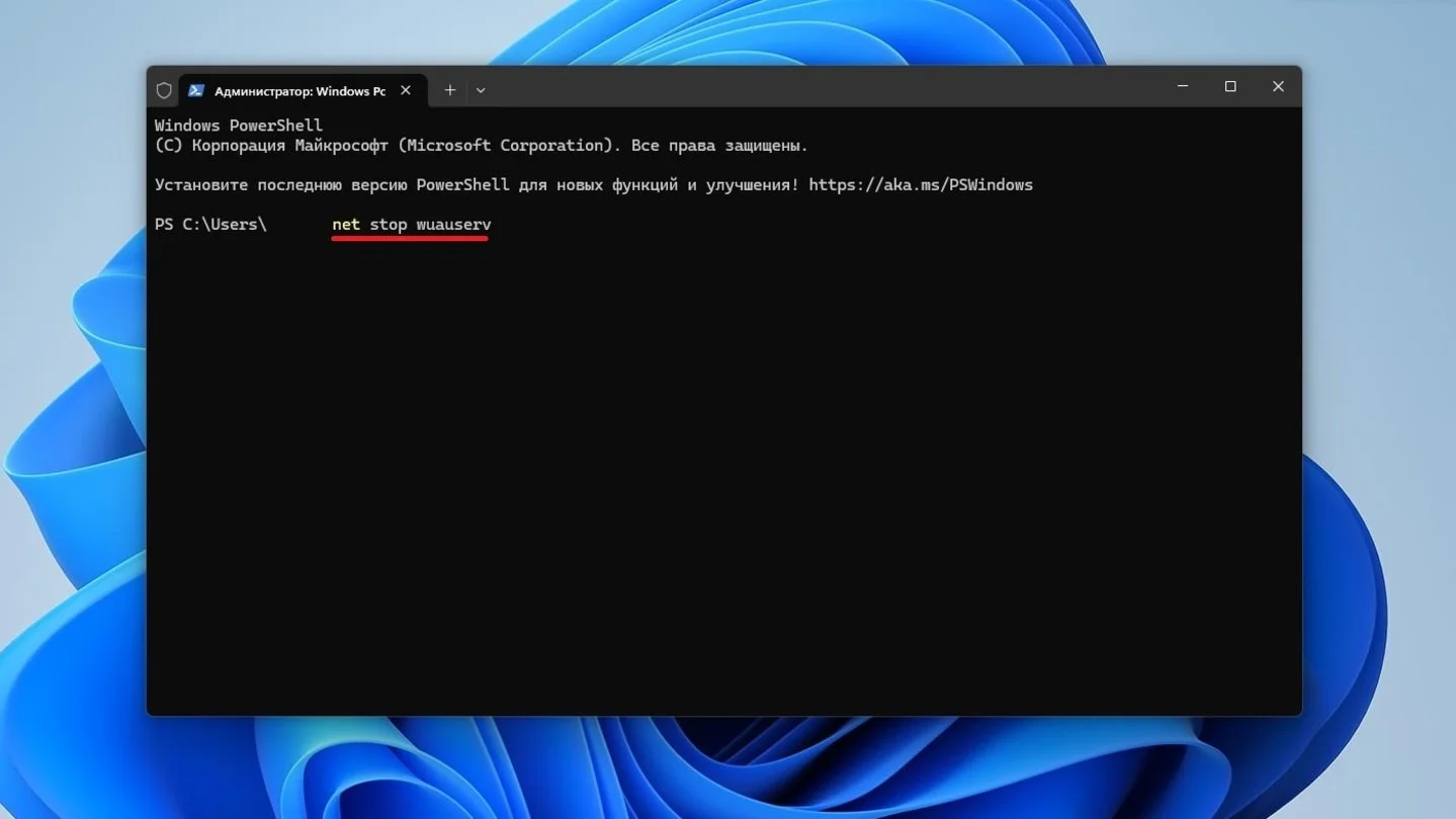 Источники: Respawn / Сброс Windows Update