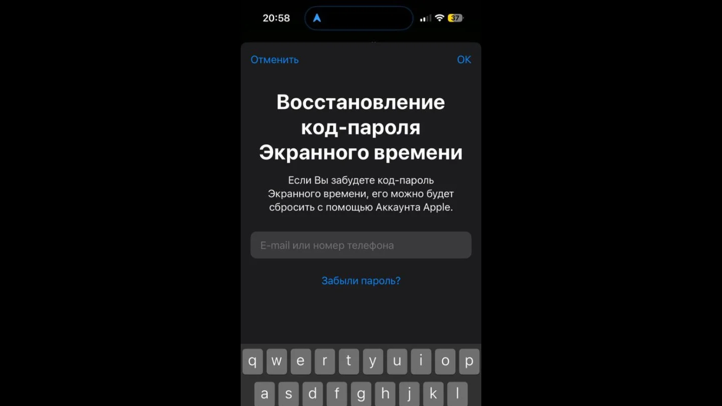 Источник: Respawn / Настройки пароля на iPhone