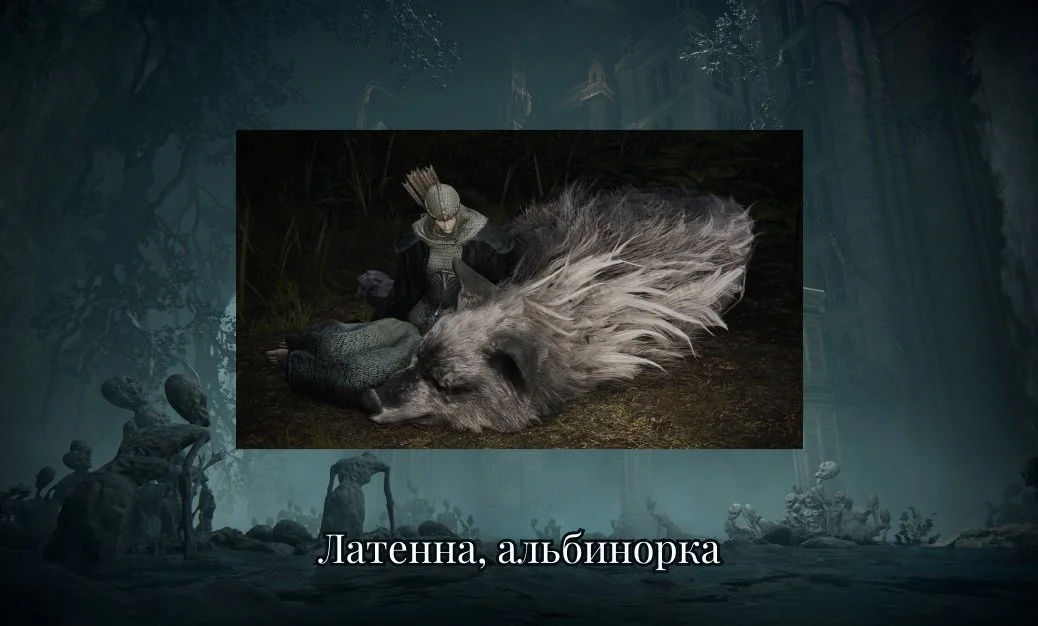 Источник: respawn.media / Латенна альбинорка