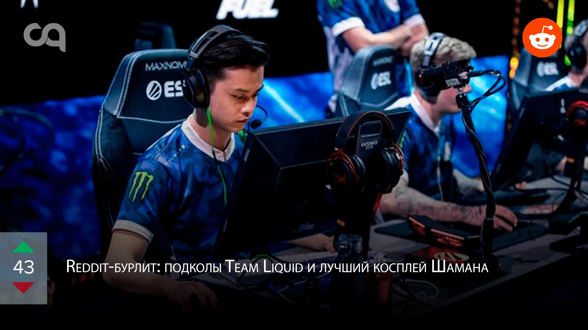 Reddit-бурлит: подколы Team Liquid и лучший косплей Шамана