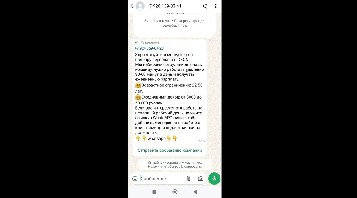Источник: Respawn / Пример спама в WhatsApp