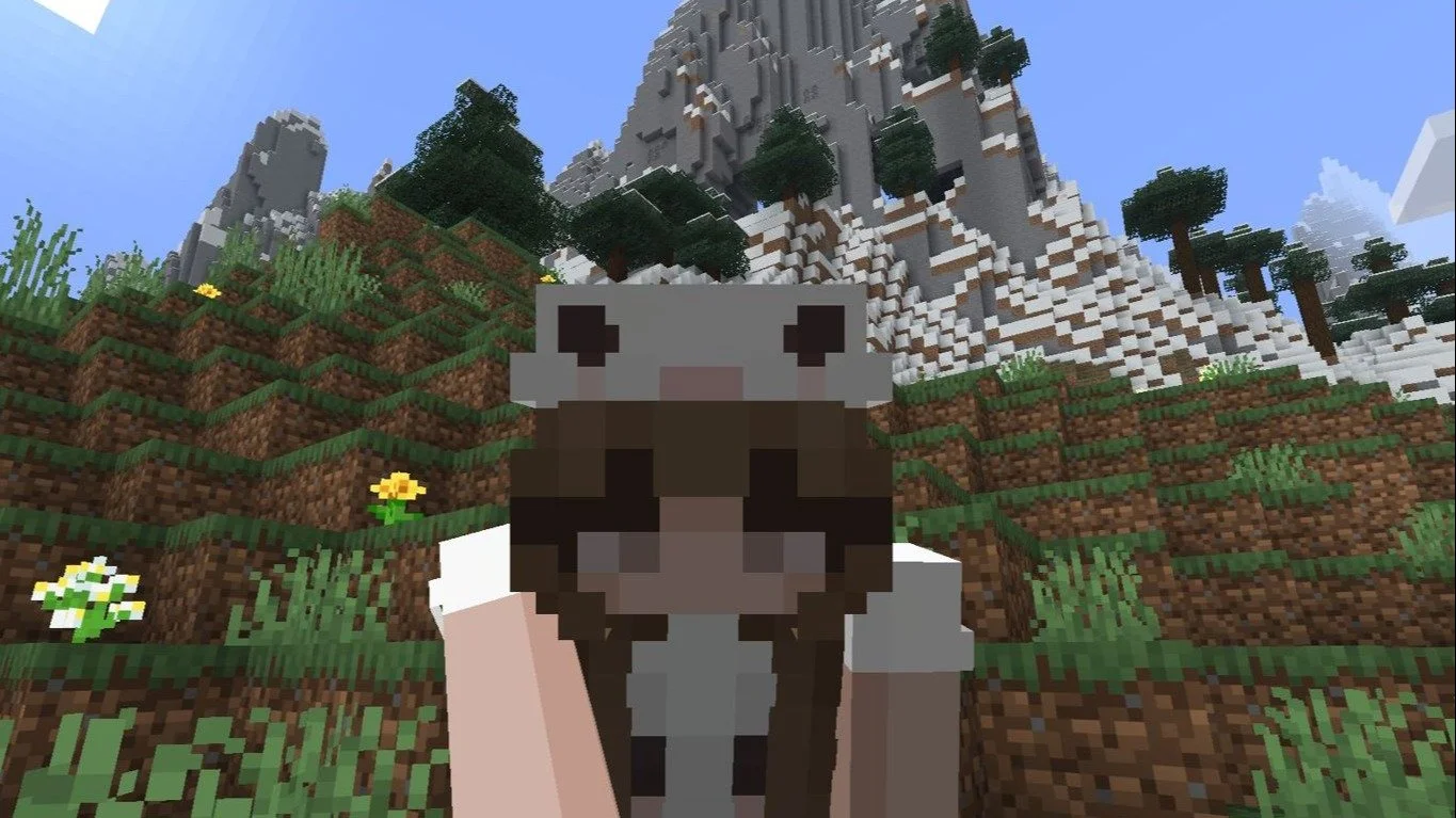 Топ-50 лучших сидов для версий Minecraft 1.21+ для Bedrock и Java