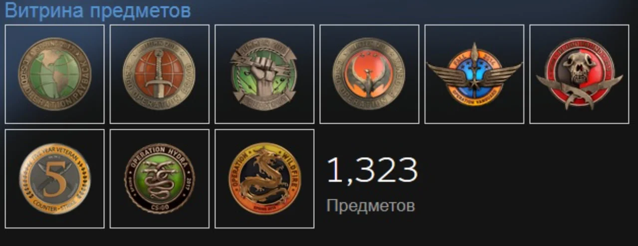 Витрина предметов