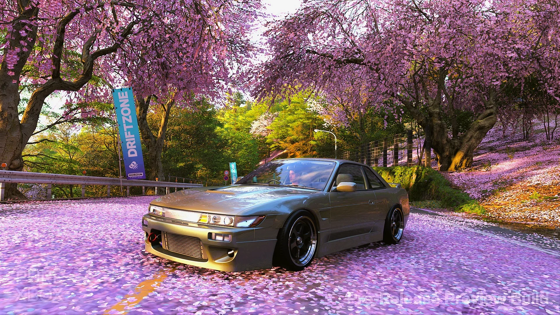 Forza Horizon 6