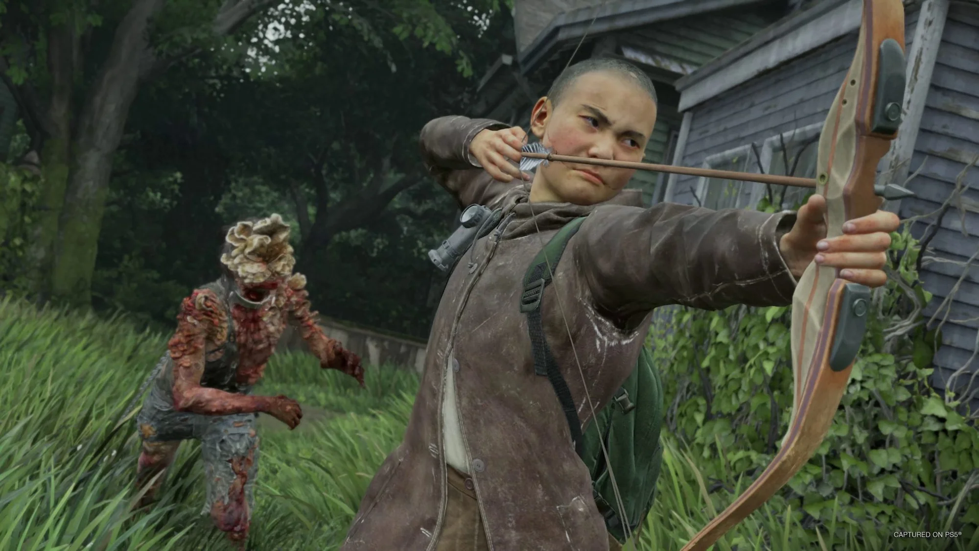 The Last of Us Online
