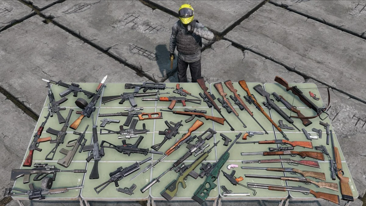 DayZ