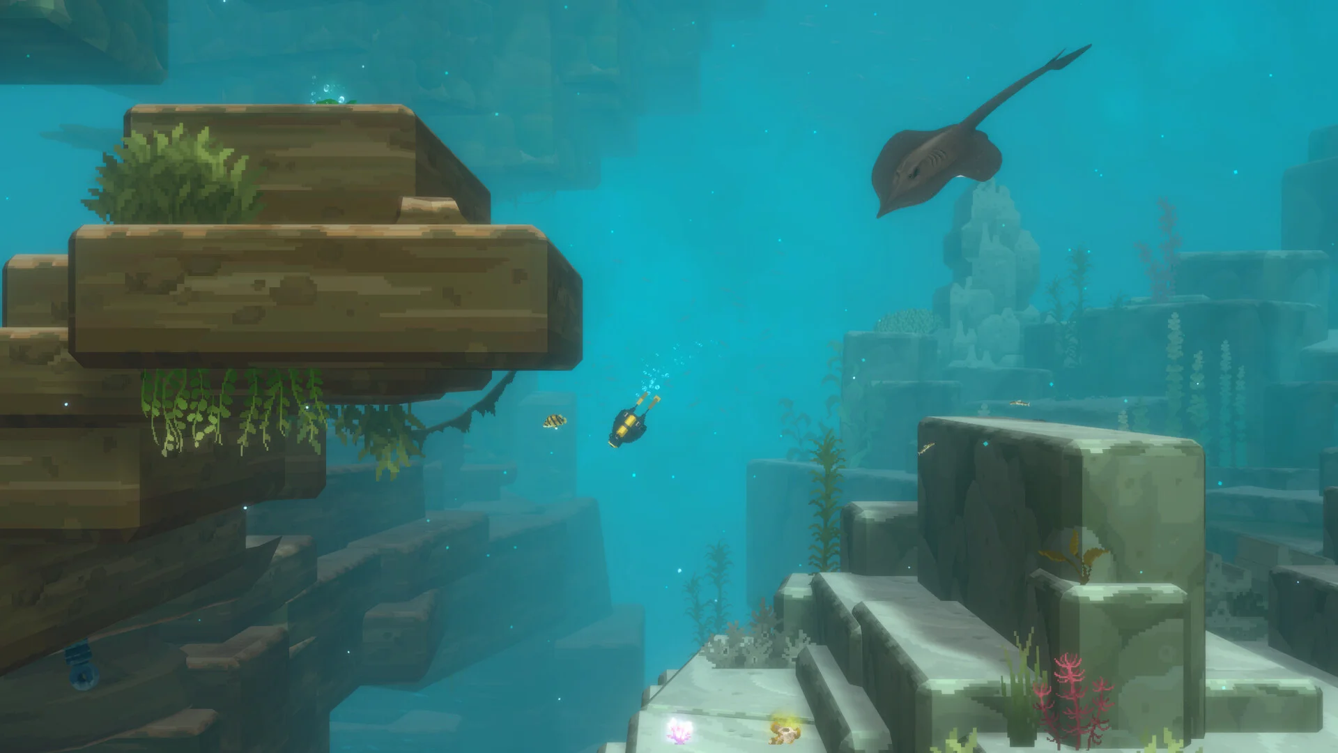 Dave the Diver: In the Jungle