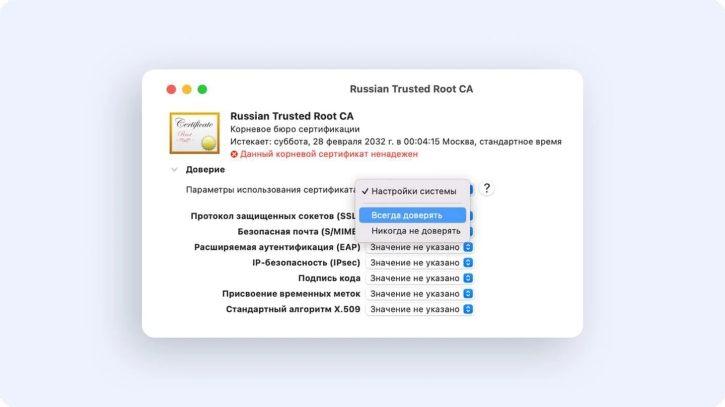 Источник: Госуслуги / Установка сертификата