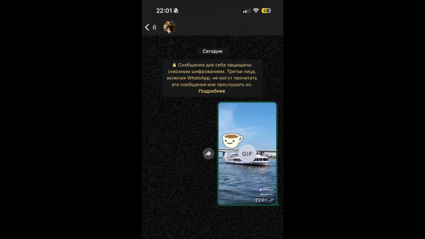 Источник: Respawn / Настройки WhatsApp*