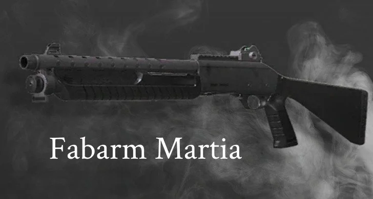 Источник: respawn.media / Fabarm Martial