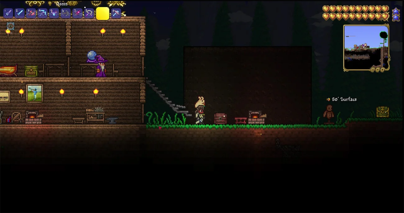Terraria