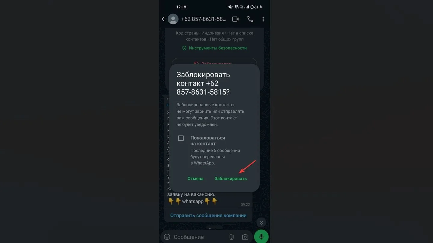Источник: Respawn / WhatsApp