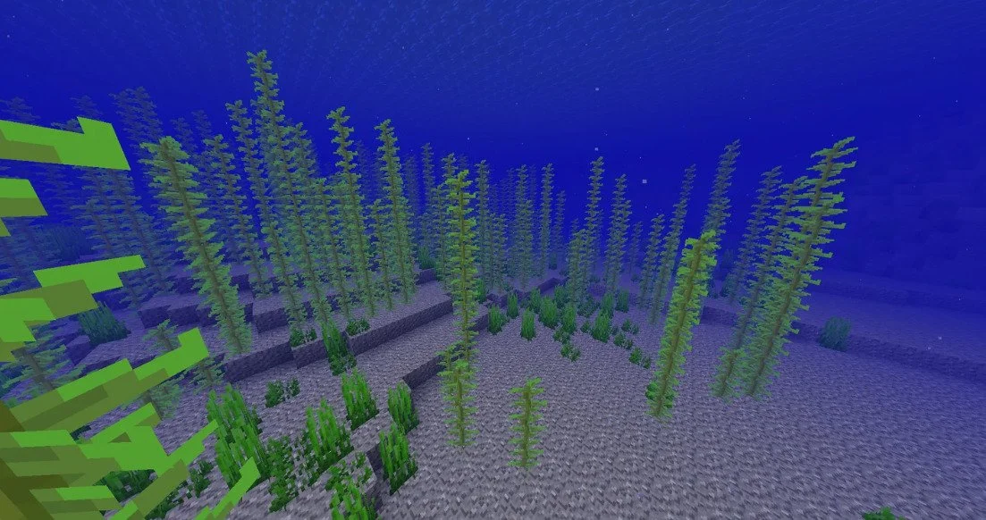 Источник: respawn.media / Морская растительность в Minecraft
