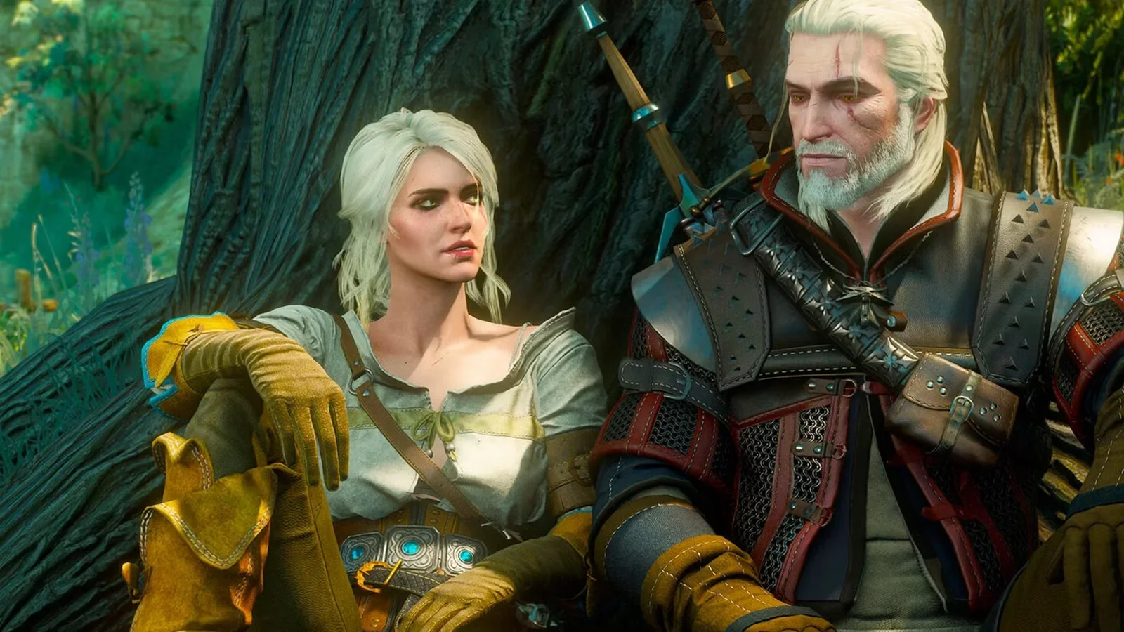 The Witcher  3