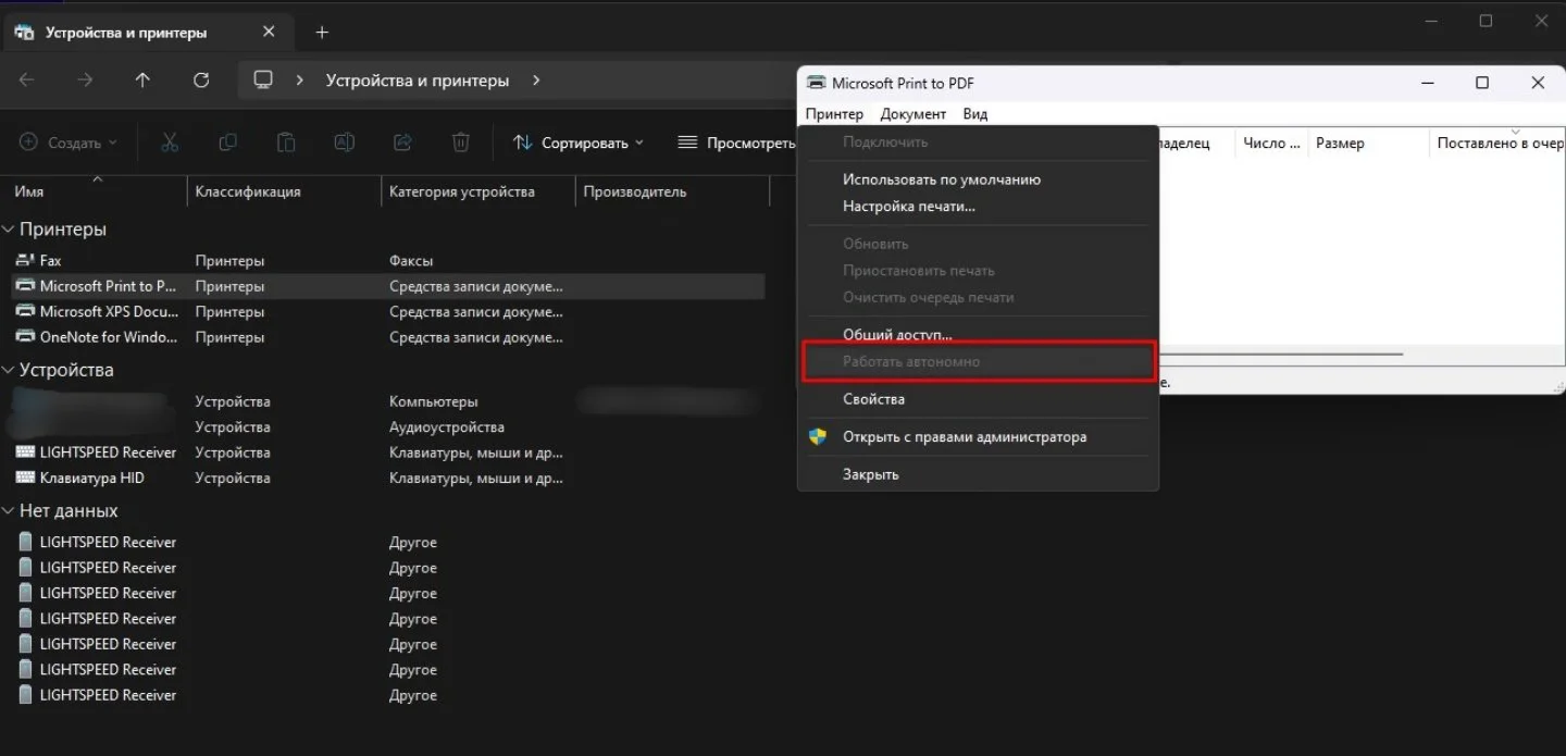 Источник: respawn.media / Отключение атвономного режима принтера