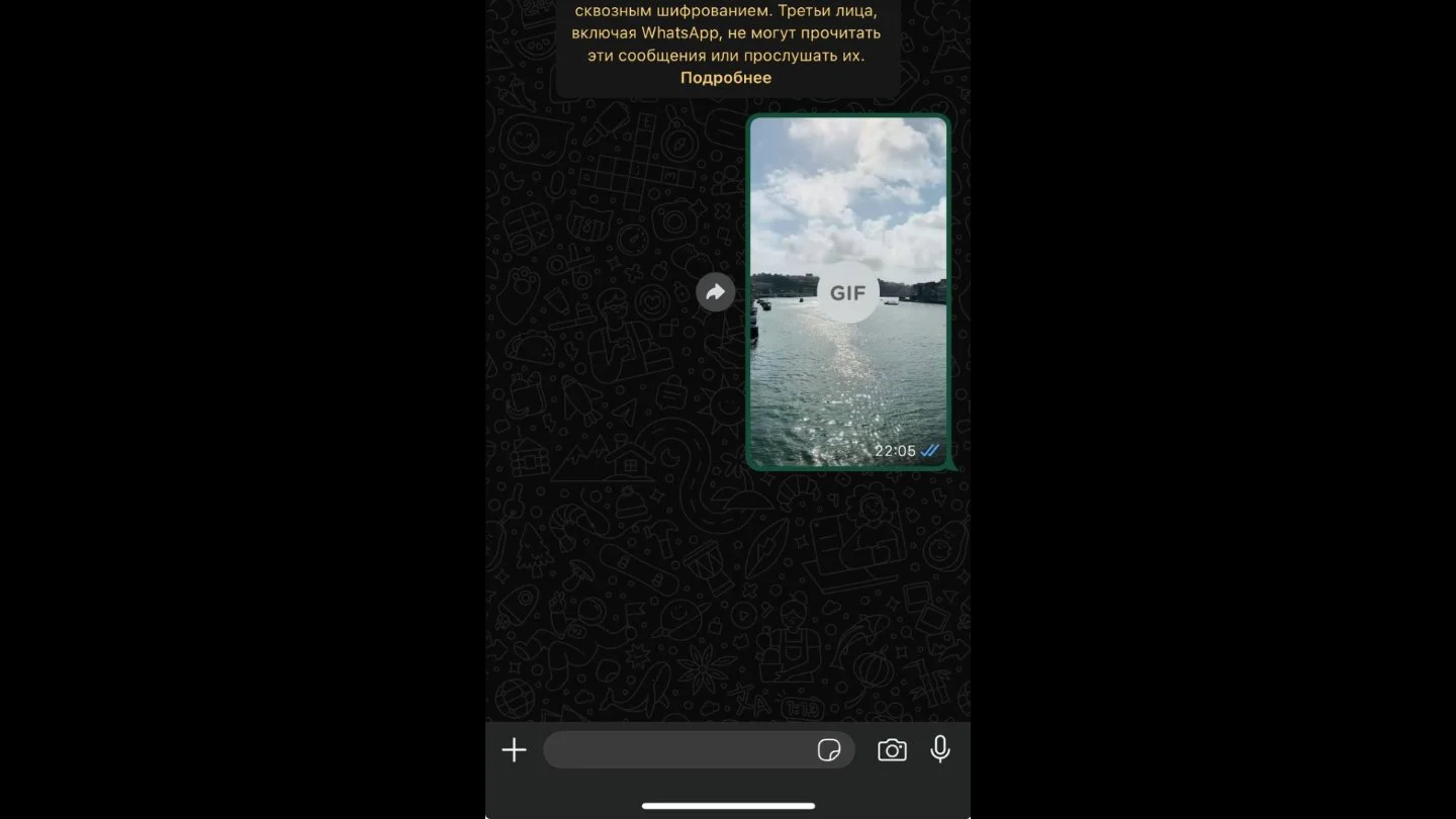 Источник: Respawn / Настройки WhatsApp*