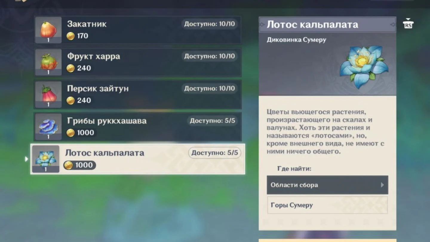 Миниатюра 2
