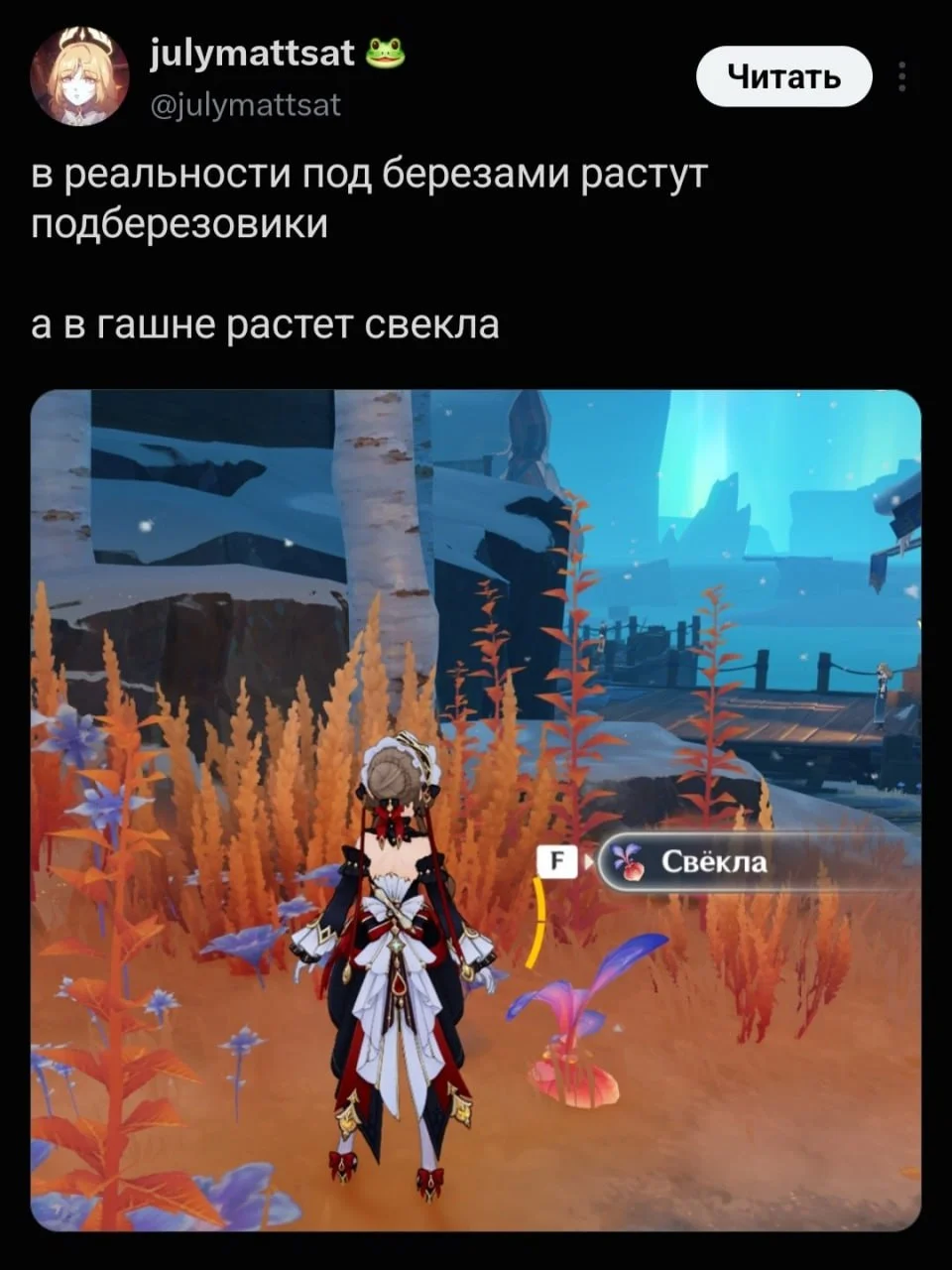 Свёкла под берёзой