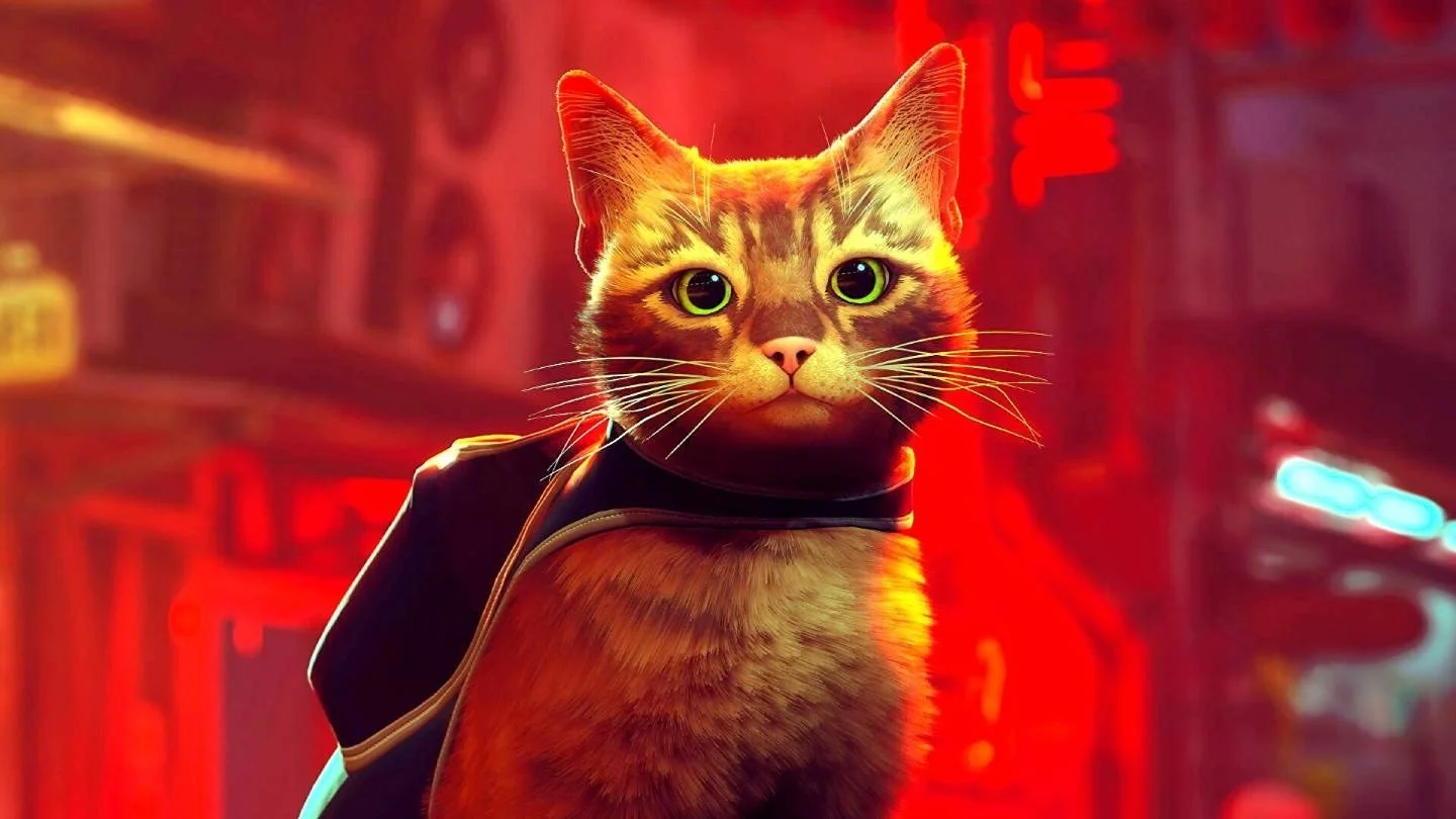 Stray стала лучшей игрой в Steam за 2022 год — ее рейтинг 8,61 балла