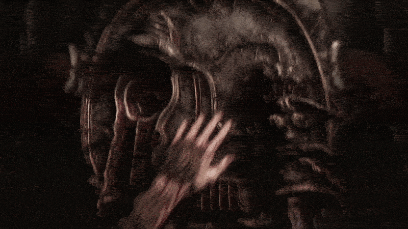 Scorn