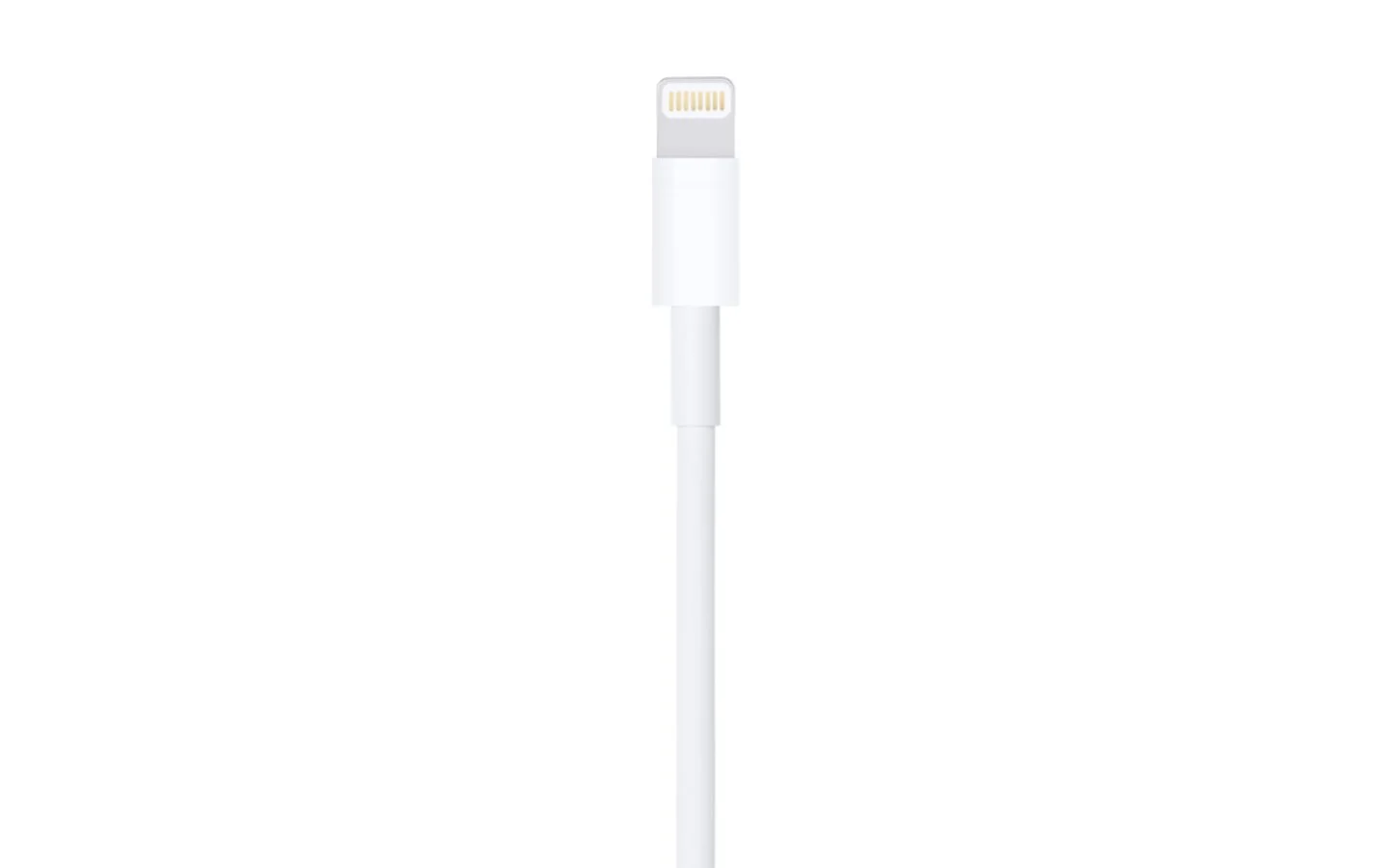 Источник: Apple / Lightning