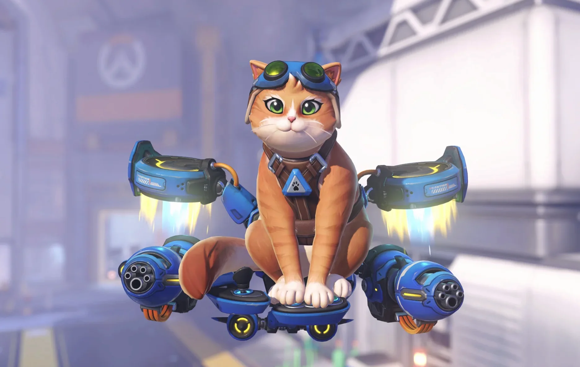 Overwatch
