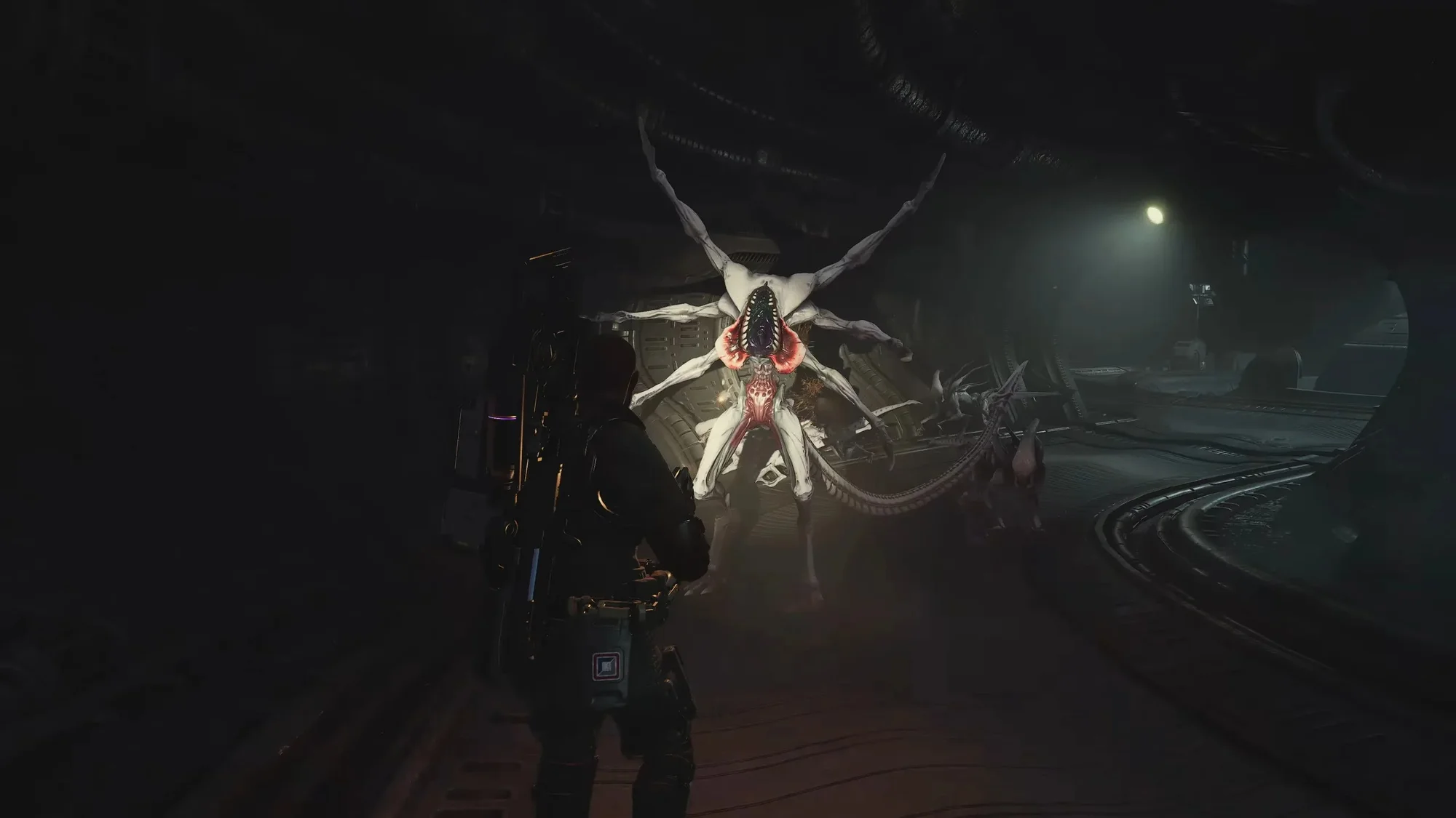 Aliens: Fireteam Elite 2 выйдет уже 25 августа