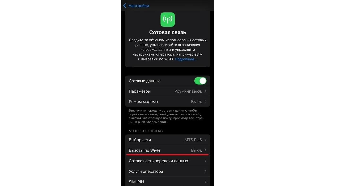 Источники: Respawn / Включение звонков по Wi-Fi на iPhone